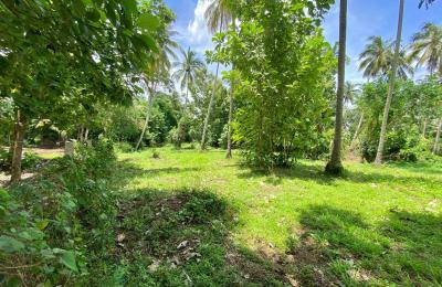 Coconut Land for Sale in Kurunegala