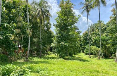 Coconut Land for Sale in Kurunegala
